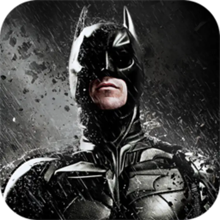 Batman: the dark knight rise icon